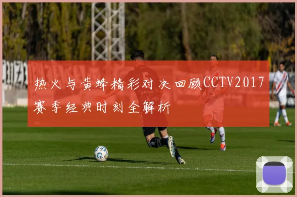 热火与黄蜂精彩对决回顾CCTV2017赛季经典时刻全解析